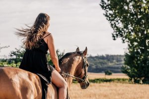 Home Betovering van Manege in Den Helder met paarden en ruiters die trainen in de rijbaan